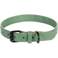 Flamingo Leano Hundehalsband