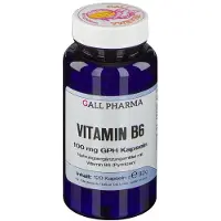 Hecht-Pharma Gmbh Vitamin B6 100 mg GPH Kapseln 120 St