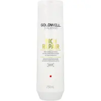 Goldwell Dualsenses Rich Repair Shampoo
