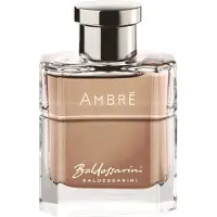 Baldessarini Ambre Men Edt Spray