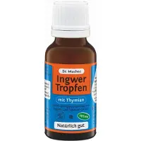 Dr. Muches Ingwertropfen m.Thymian Dr.Muches 20 ml Tropfen