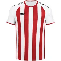 Jako Inter Trikot