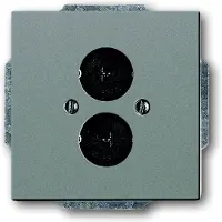 Busch-Jaeger Zentralscheibe 2CKA001723A0257