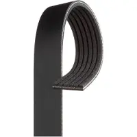 Gates Keilrippenriemen 6PK1835