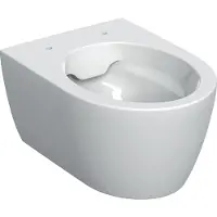 Geberit 502380008 iCon WWC Tiefspüler, verk. Ausl. 49cm