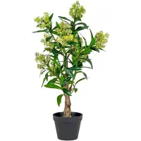 House Nordic | Kunst Skimmia japonica Leilaurier Grün Plastik 40x40x75 cm | NADUVI