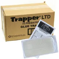 Bell Klebefalle Trapper LTD (72 Stück)