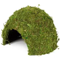 HOBBY Terraristik Jungle Cave 2, 170 mm, 120 mm, 170 mm