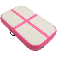 The Living Store Aufblasbare Gymnastikmatte mit Pumpe 60x100x10 cm PVC Rosa