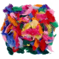 Creativ Company bunte Federn Bastelmaterial 50 Gramm multi