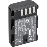 Panasonic Akku DMW-BLF19E