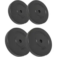vidaXL Hantelscheiben 4 Stk. 30 kg Zement