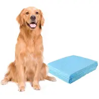 Coast Puppy Einweg-Trainingseinlagen - Toilettentraining - 100 Stück