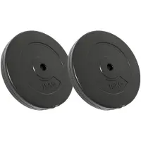 vidaXL Hantelscheiben 2 Stk. 30 kg Zement