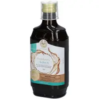 Regulatpro Active X Flüssigkeit zum Einnehmen 350 ml