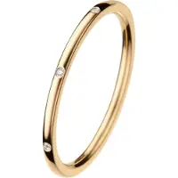 Bering Innenring Arctic Symphony