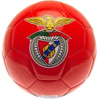 Victoria Sport Benfica Fussball Club Fan Ball