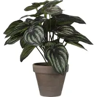 Mica Decorations Mica Kunstpflanze Peperomia dunkelgrün, 24 x 23 cm GLO660754706