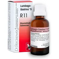 Dr. Reckeweg Lumbago-Gastreu S R11 Mischung 22 ml