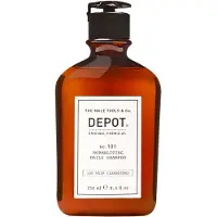Depot The Male Tools & Co No. 101 Normalizing Daily Shampoo 250 ml