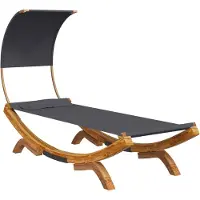 The Living Store Loungebett mit Dach 100x200x126 cm Bugholz Massiv Anthrazit