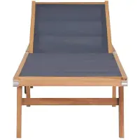 The Living Store Sonnenliege Klappbar mit Rollen Teak Massivholz und Textilene