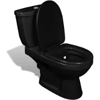 vidaXL Toilette Mit Spülkasten