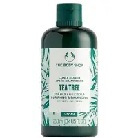The Body Shop Conditioner 250ml