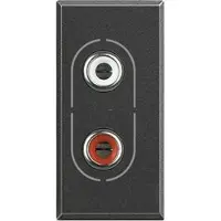 Legrand HS4281 Anschlussdose RCA 2-Fach Anthrazit