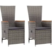 vidaXL Garten-Liegestühle 2 Stk. mit Auflagen Poly Rattan Grau