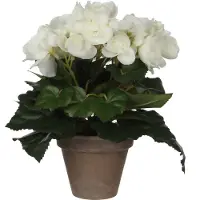 Mica Decorations Mica Begonia im Topf weiß, 25 x 20 cm GLO660754628