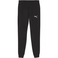 Puma Herren Sporthose teamGOAL Casuals Pants