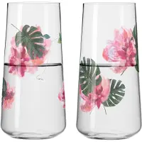 Ritzenhoff Universalglas Sommersonett