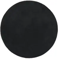 vidaXL Teppich HUARTE Kurzflor Weich und Waschbar Schwarz Ø 100 cm
