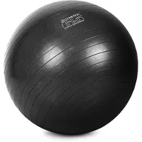 Gymstick Pro Exercise 65cm Fitball