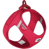 Curli Vest Harness Clasp Air-Mesh - Rot - M