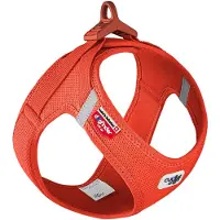 Curli Air-Mesh, Hund, Weste, XXS, Rot, Polyester, Chihuahua, Dackel, Jack Russell Terrier, Spitz, Pudel, Französische Bulldogge, Yorkshire Terrier