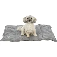 Trixie Leni Reisedecke grau 80x60 cm