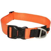 Rogz Classic Hb19-d Dog Collar Orange