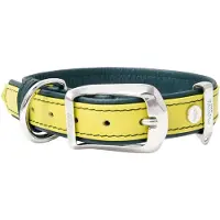 My Family Firenze Hundehalsband
