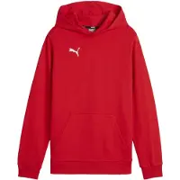 Puma Teamgoal Casuals Kapuzenpullover