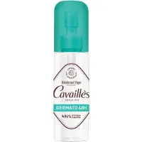 Rogé Cavaillès - Dermato Spray Deodorant 48H