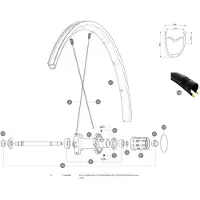 Mavic Aksium Elite Ust/ksyrium Ust Hintere Rechte Speichen 10 Einheiten
