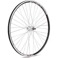Gurpil Rad für V/BR. Edelstahl-Speichen XM-1