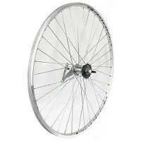 Gurpil Chrina Back-pedal Hinterrad