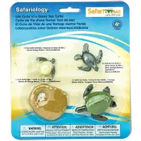 Safari Ltd Life Cycle Of A Green Sea Turtle Figur Mehrfarbig From 3 Years Mehrfarbig From 3 Years