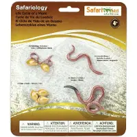Safari Ltd Lebenszyklus Eines Wurms Abbildung