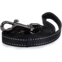 Dogman Iris Nylon-Hundeleine Schwarz M 20mmx180cm