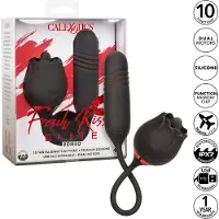 Calexotics - French Kiss Elite Romeo 1 St