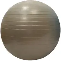 Sporti France gymball 55cm